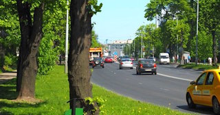 Посадка деревьев и кустарников в Кузнецке — стоимость от 1251 руб.