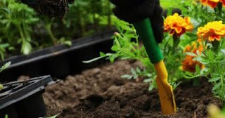 Посадка цветов от 573 руб. в Кузнецке | Услуги от ТротуарнаяПлитка
